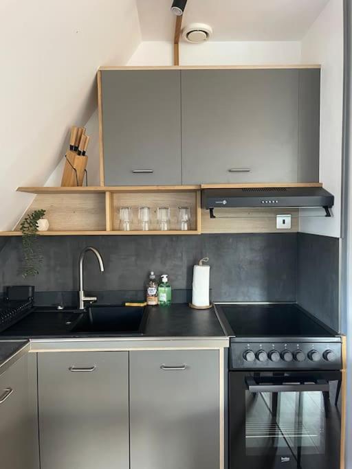 Duplex Bord De L'Eure - Parking Inclus - Jolie Vue Sur La Cathedrale Apartment Шартър Екстериор снимка