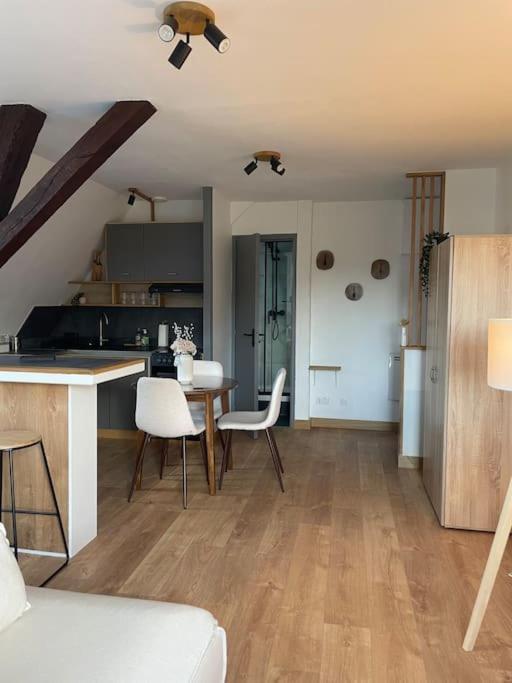 Duplex Bord De L'Eure - Parking Inclus - Jolie Vue Sur La Cathedrale Apartment Шартър Екстериор снимка