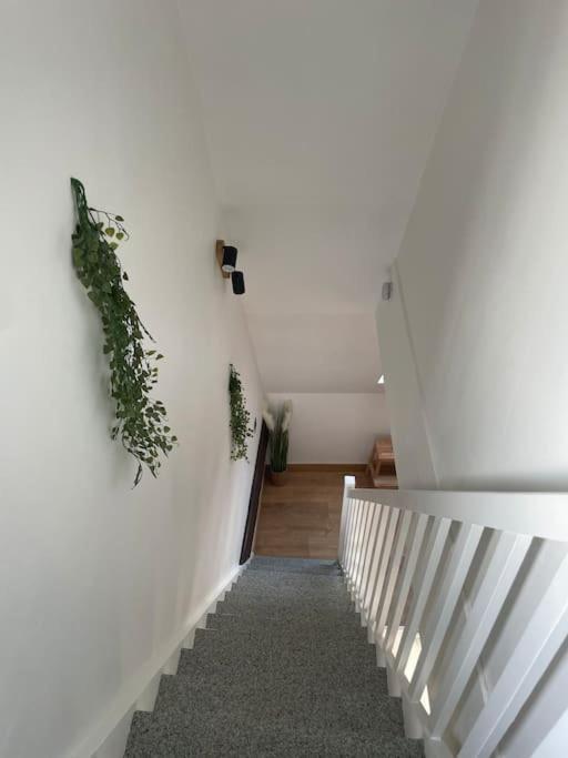 Duplex Bord De L'Eure - Parking Inclus - Jolie Vue Sur La Cathedrale Apartment Шартър Екстериор снимка